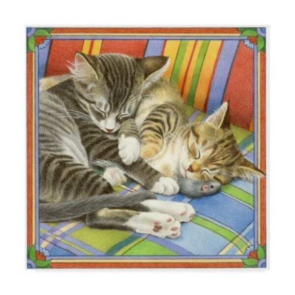 Francien Van Westering 'Two Gray Cats Sleeping' Canvas Art, 35x35, Trademark Fine Art, Mfr#: ALI34712-C3535GG